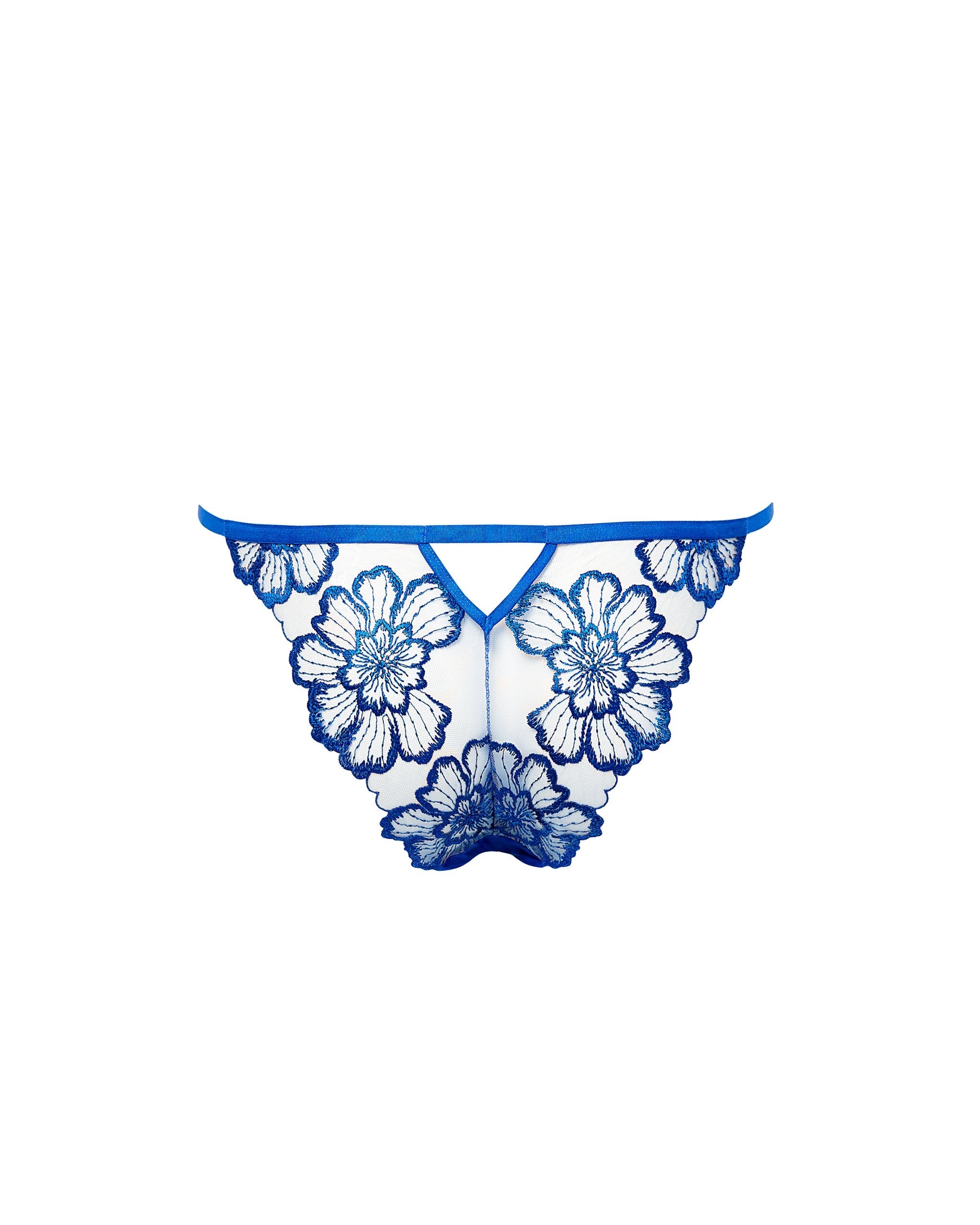 Catalina Culotte Bleu Égyptien/Transparent