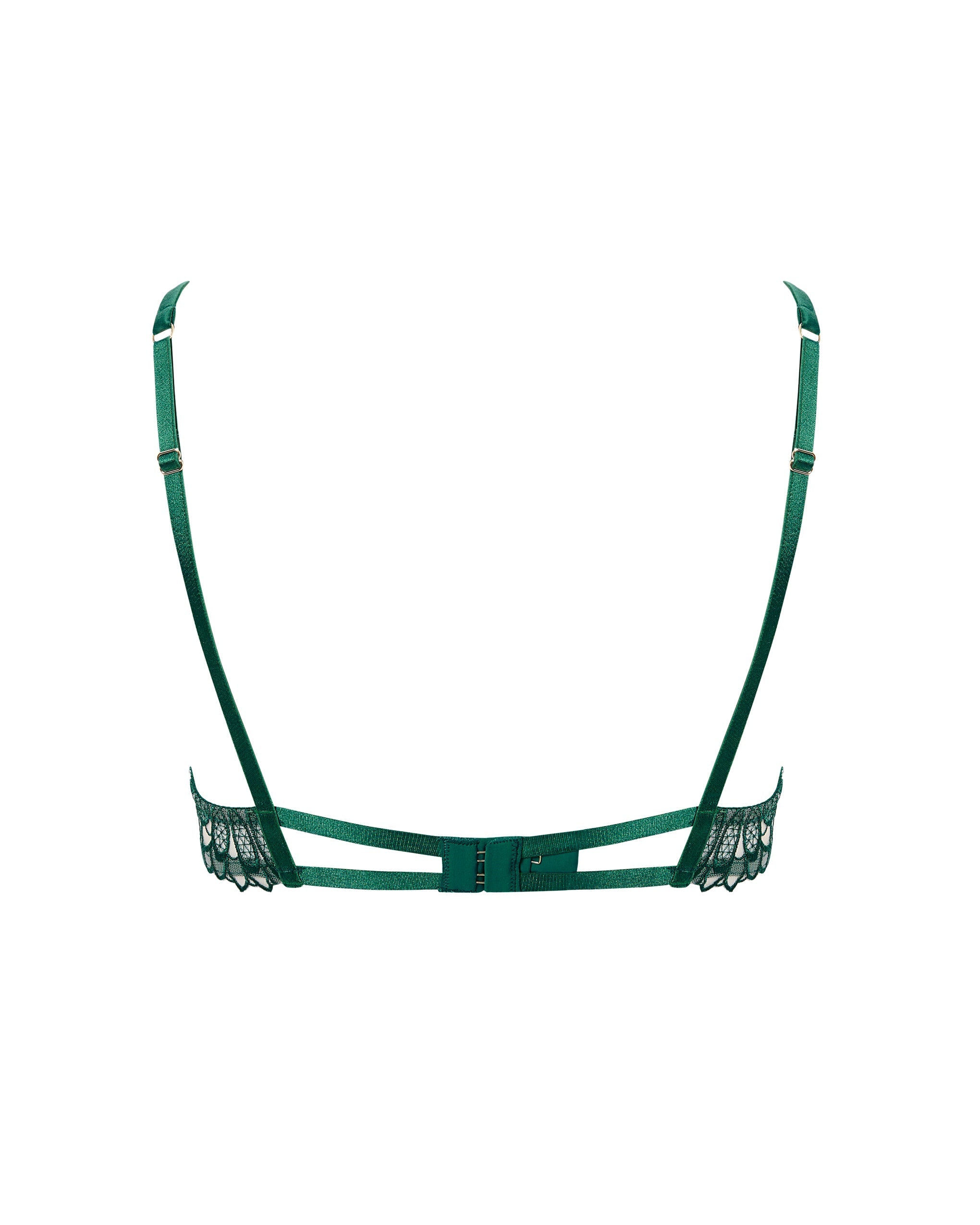 Soutien-gorge Transparent Floral Amaris Vert